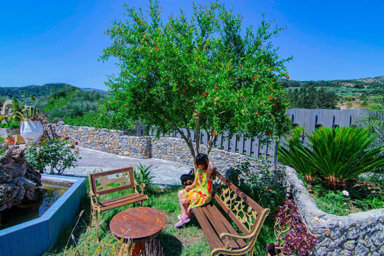 Villa Olive Tree With Private Pool & Jacuzzi Kissamos Ngoại thất bức ảnh