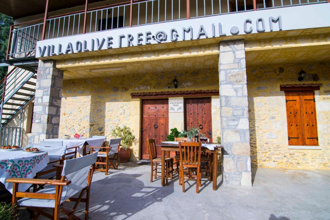 Villa Olive Tree With Private Pool & Jacuzzi Kissamos Ngoại thất bức ảnh