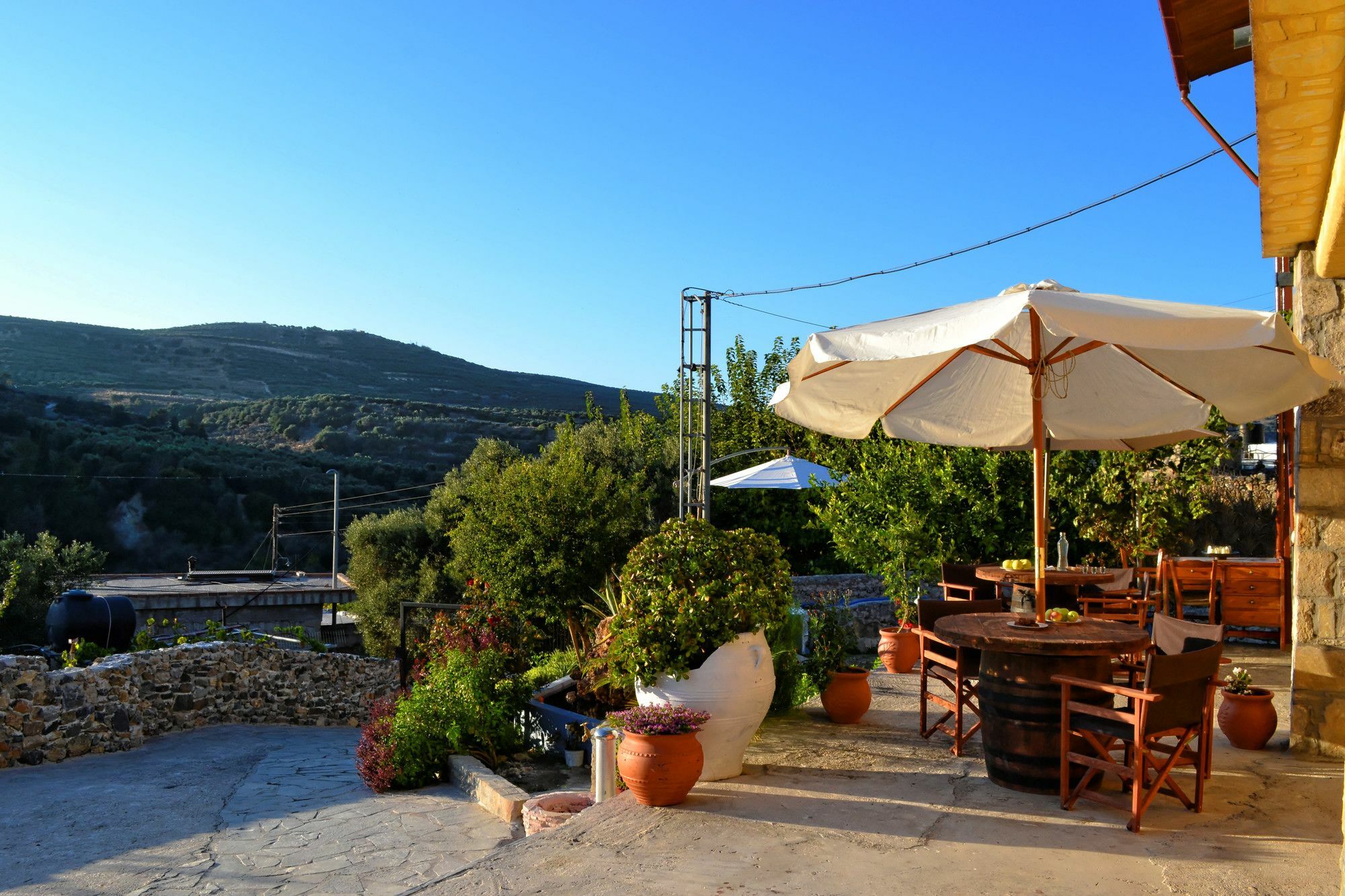Villa Olive Tree With Private Pool & Jacuzzi Kissamos Ngoại thất bức ảnh