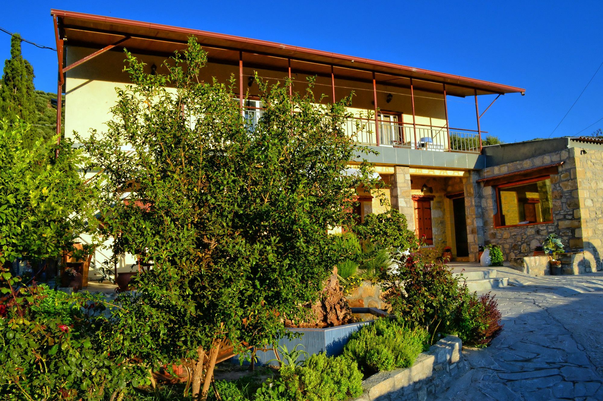 Villa Olive Tree With Private Pool & Jacuzzi Kissamos Ngoại thất bức ảnh