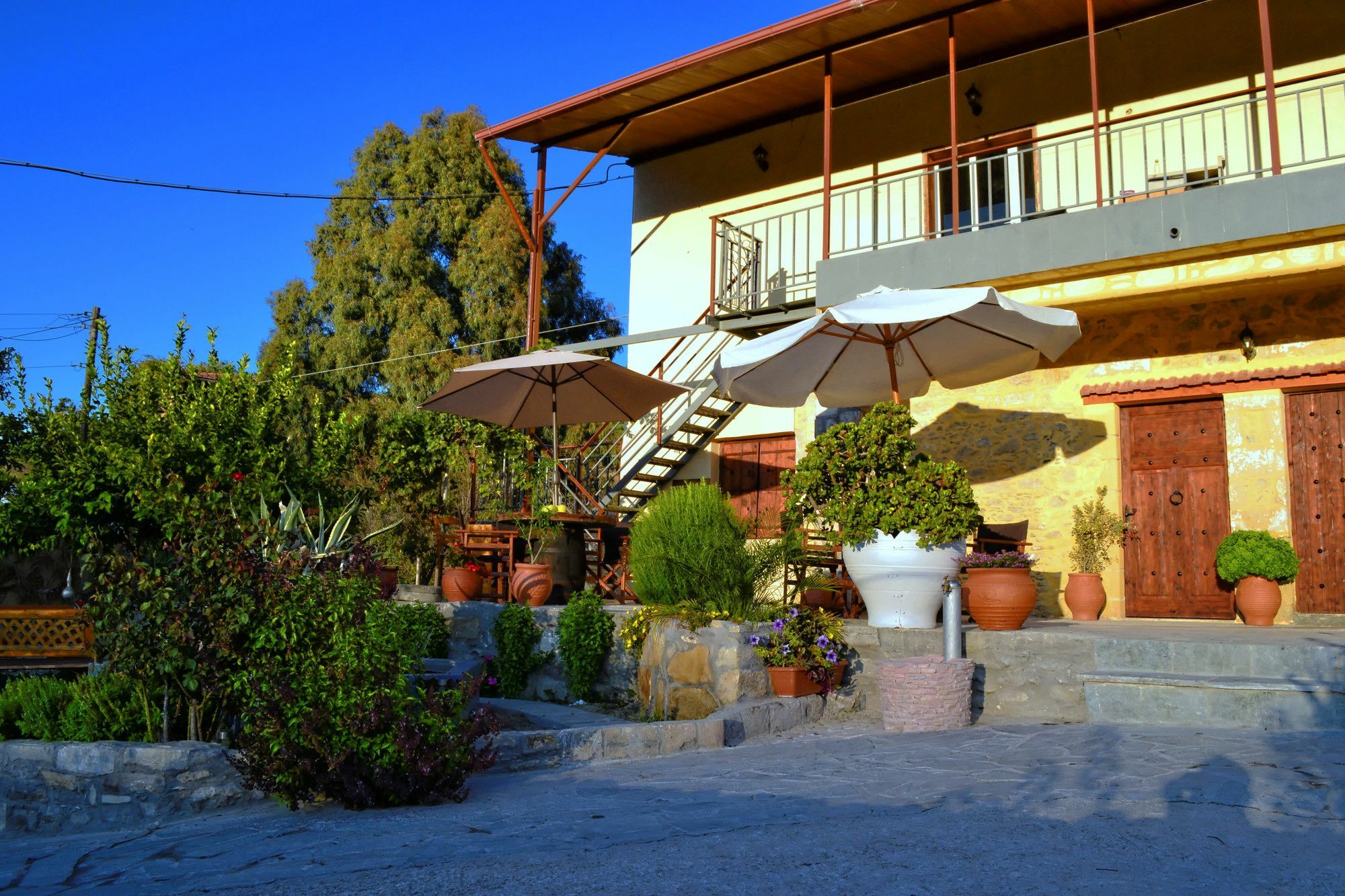 Villa Olive Tree With Private Pool & Jacuzzi Kissamos Ngoại thất bức ảnh