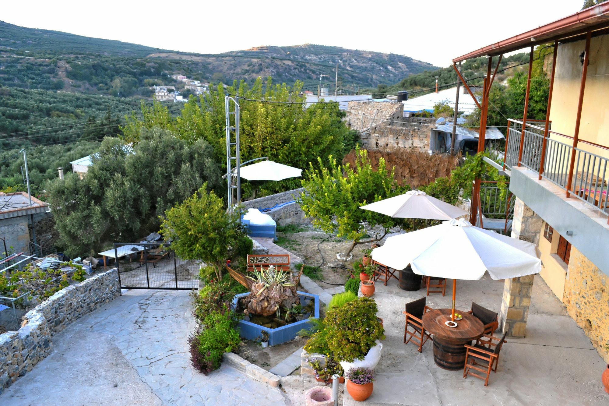 Villa Olive Tree With Private Pool & Jacuzzi Kissamos Ngoại thất bức ảnh