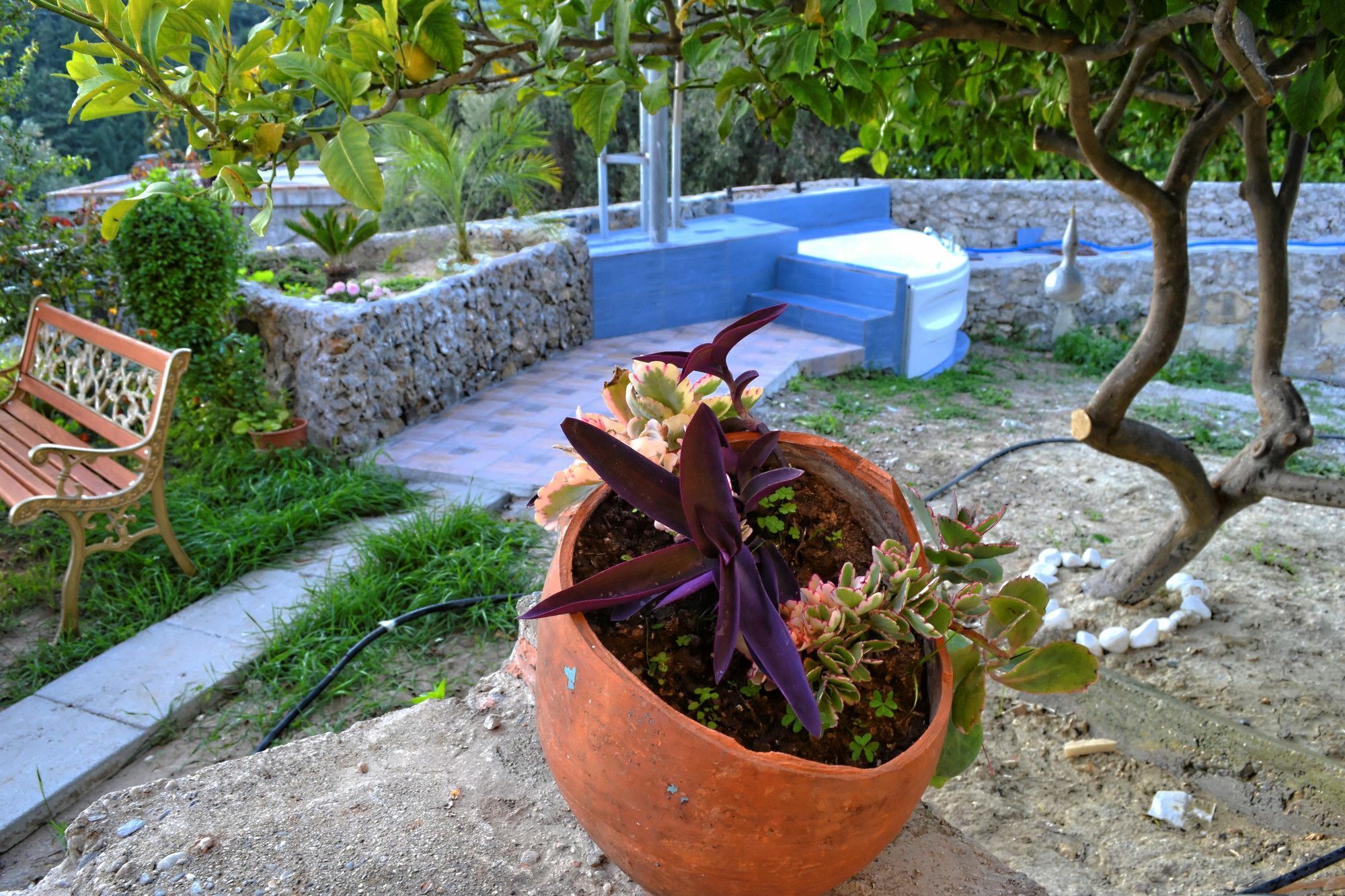 Villa Olive Tree With Private Pool & Jacuzzi Kissamos Ngoại thất bức ảnh