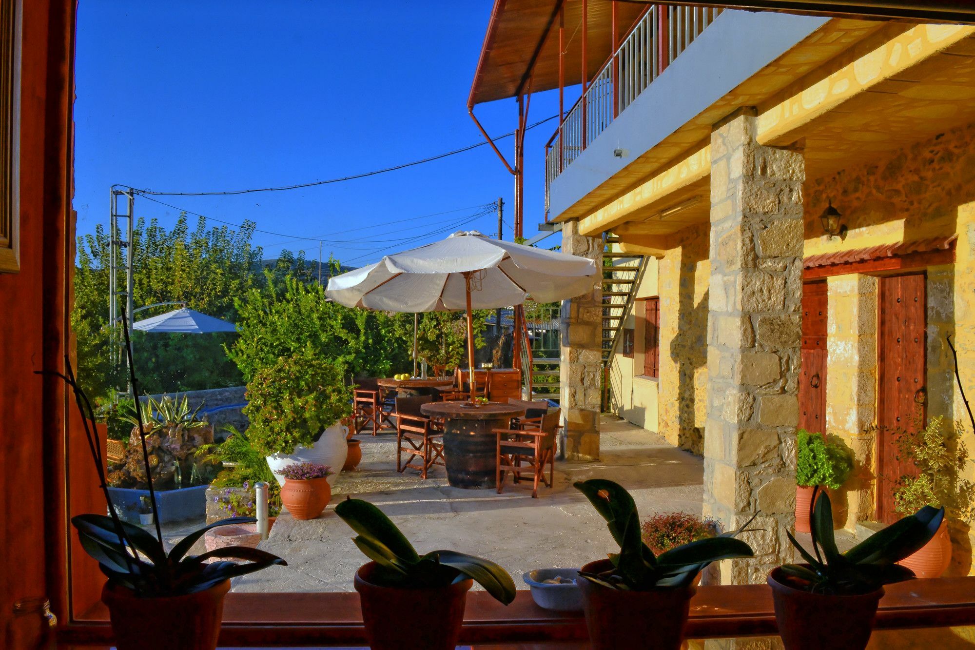 Villa Olive Tree With Private Pool & Jacuzzi Kissamos Ngoại thất bức ảnh