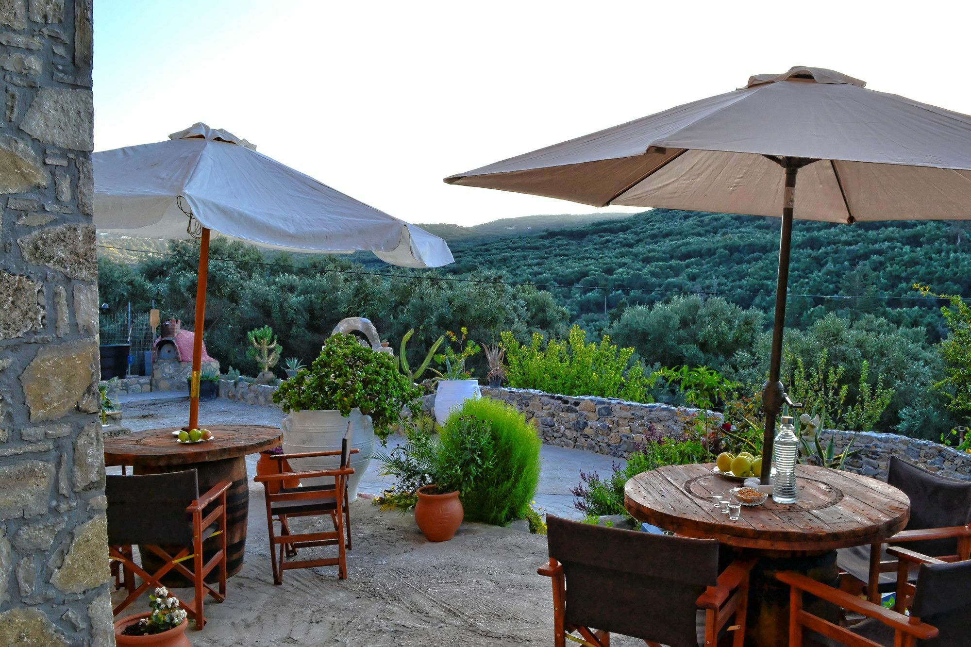 Villa Olive Tree With Private Pool & Jacuzzi Kissamos Ngoại thất bức ảnh