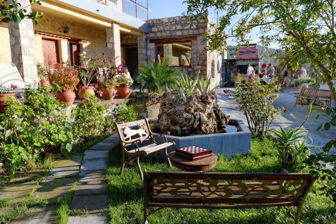 Villa Olive Tree With Private Pool & Jacuzzi Kissamos Ngoại thất bức ảnh