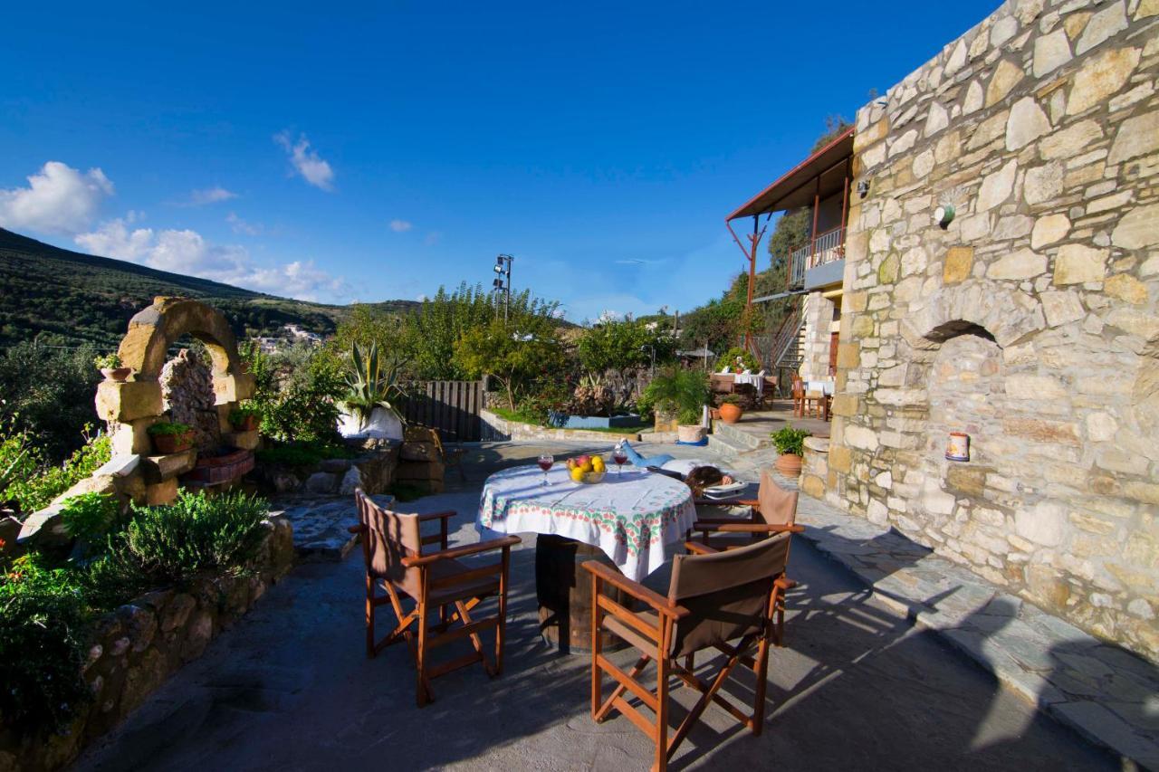 Villa Olive Tree With Private Pool & Jacuzzi Kissamos Ngoại thất bức ảnh