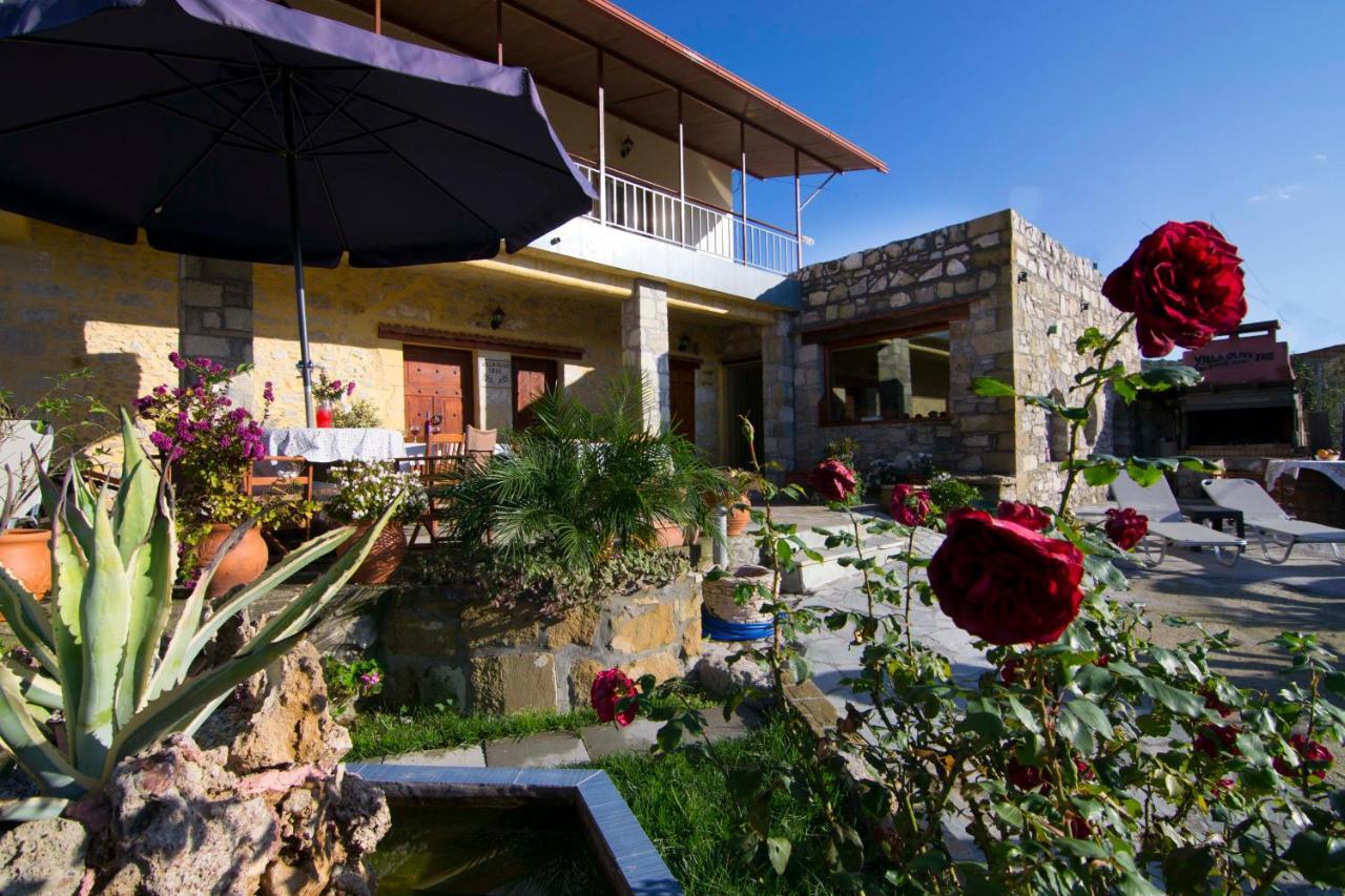 Villa Olive Tree With Private Pool & Jacuzzi Kissamos Ngoại thất bức ảnh